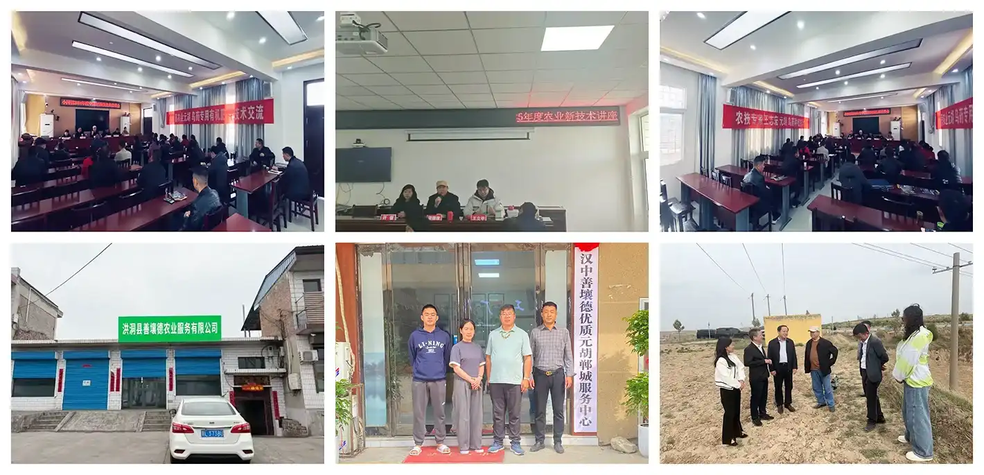 Technical Leadership Technical Leadership