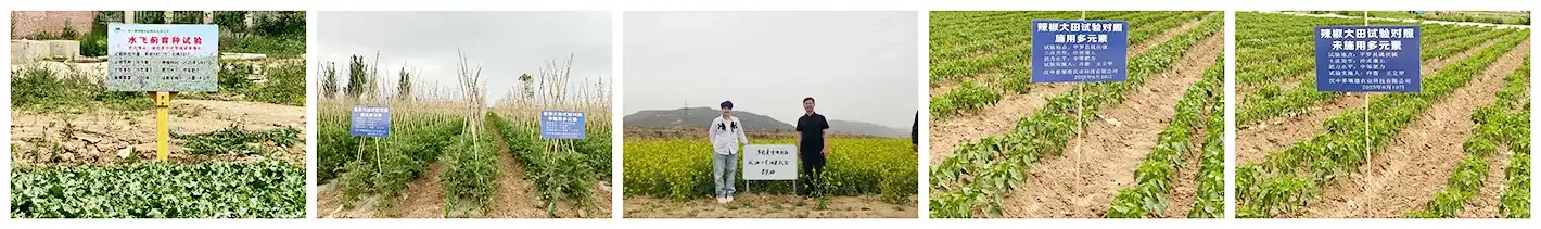 Quality Assurance Center Quality Assurance Center