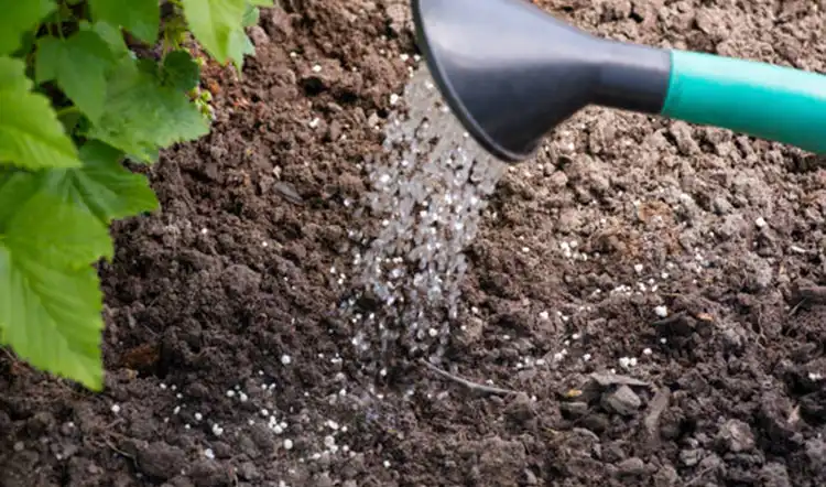 Comparison-of-Micronutrient-Fertilizer-Types-and-Application-Methods Comparison-of-Micronutrient-Fertilizer-Types-and-Application-Methods