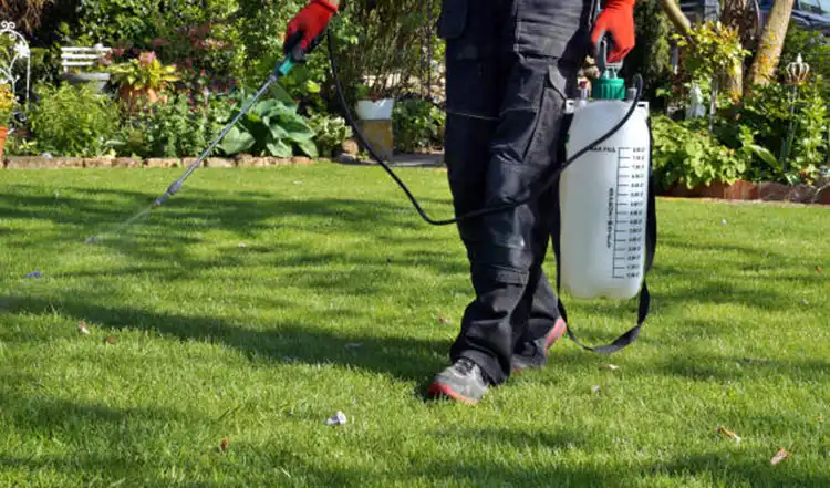 Choosing-the-Best-Balanced-Liquid-Fertilizer-for-Turf-in-2026 Choosing-the-Best-Balanced-Liquid-Fertilizer-for-Turf-in-2026