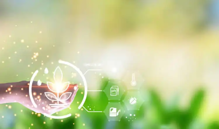 Procurement-Insights-for-Balanced-Liquid-Fertilizers Procurement-Insights-for-Balanced-Liquid-Fertilizers