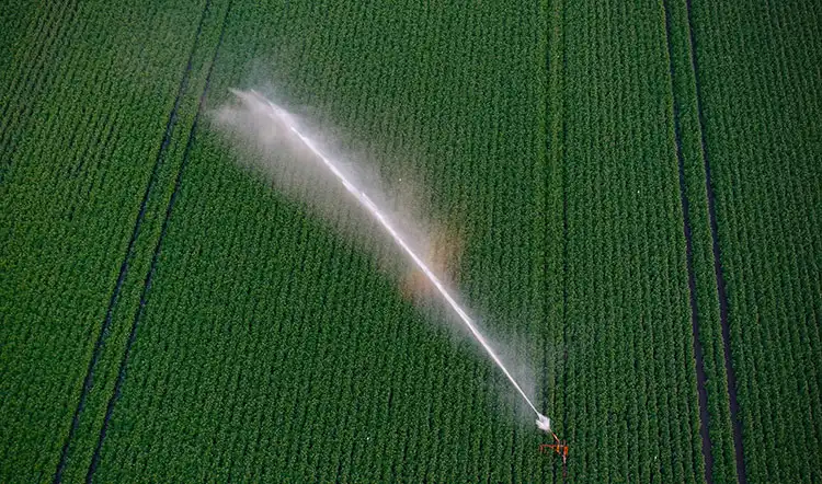 Integration-and-Environmental-Impact-of-Water-Soluble-Micronutrient-Fertilizers Integration-and-Environmental-Impact-of-Water-Soluble-Micronutrient-Fertilizers