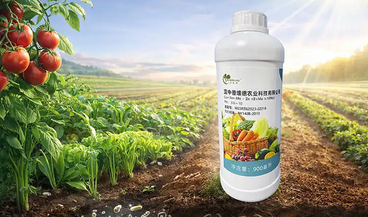 Key-Benefits-of-Balanced-Liquid-Fertilizers-for-Plant-Growth-and-Soil-Health Key-Benefits-of-Balanced-Liquid-Fertilizers-for-Plant-Growth-and-Soil-Health