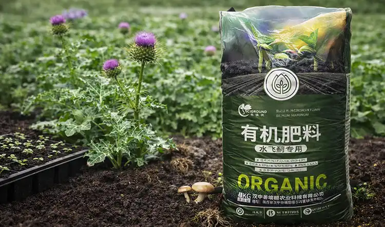 How-to-Select-the-Best-Silybum-marianum-Organic-Fertilizer How-to-Select-the-Best-Silybum-marianum-Organic-Fertilizer
