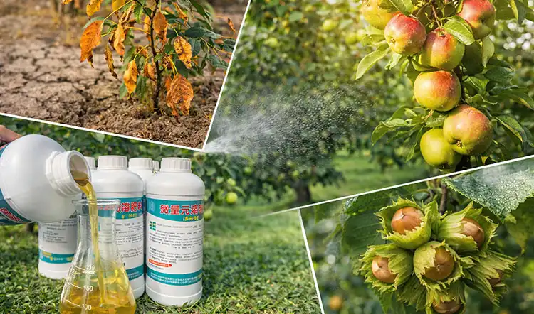 Core-Benefits-That-Transform-Tree-Performance Core-Benefits-That-Transform-Tree-Performance