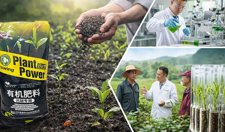 Comparing-Sciground's-Solution-with-Alternatives Comparing-Sciground's-Solution-with-Alternatives