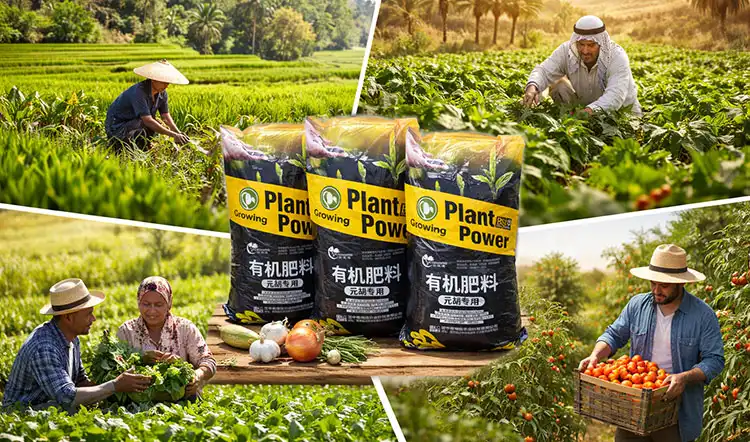 Regional-Market-Analysis-for-Cordydalis-Fertilizer-Supply Regional-Market-Analysis-for-Cordydalis-Fertilizer-Supply