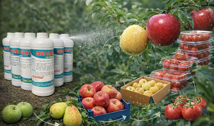 Benefits-of-Multi-Element-Foliar-Spraying-Fertilizer-for-B2B-Crop-Production Benefits-of-Multi-Element-Foliar-Spraying-Fertilizer-for-B2B-Crop-Production