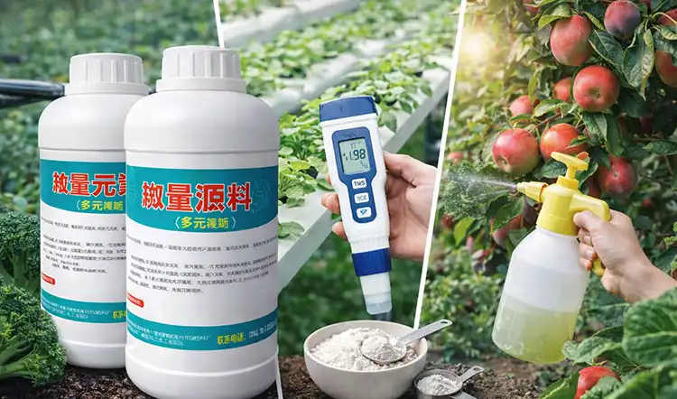 Best-Practices-for-Applying-Water-Soluble-Fertilizers-for-Various-Uses Best-Practices-for-Applying-Water-Soluble-Fertilizers-for-Various-Uses