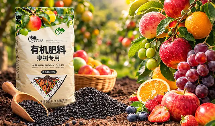 Understanding-NPK-Ratios-and-Their-Role-in-Fruit-Tree-Nutrition Understanding-NPK-Ratios-and-Their-Role-in-Fruit-Tree-Nutrition