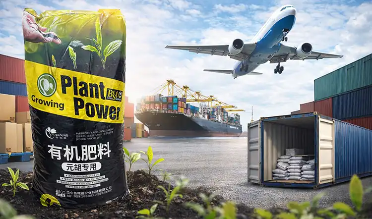 Buying-Gastrodia-Specialized-Fertilizer-for-Global-B2B-Clients Buying-Gastrodia-Specialized-Fertilizer-for-Global-B2B-Clients