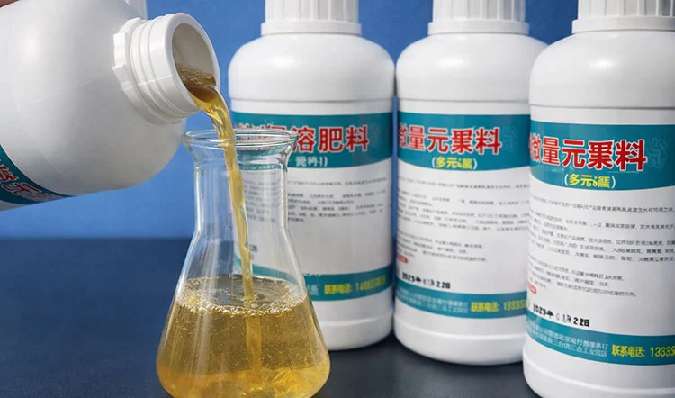 Selecting-and-Buying-Water-Soluble-Fertilizers-for-B2B-Clients Selecting-and-Buying-Water-Soluble-Fertilizers-for-B2B-Clients