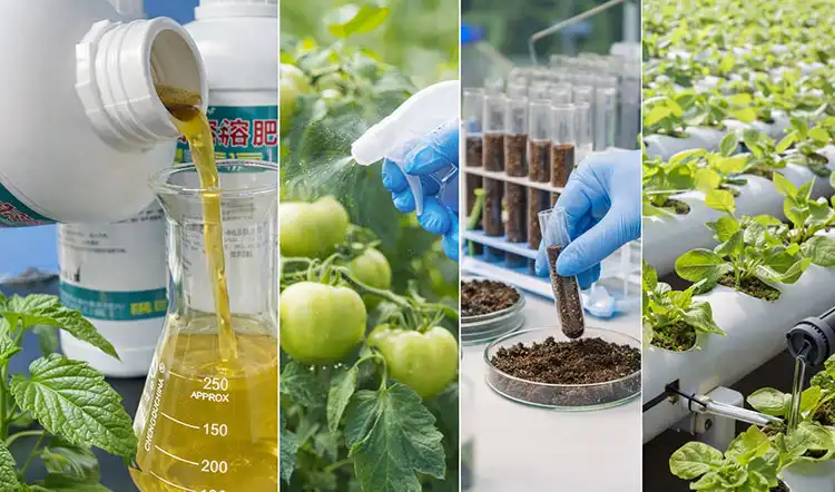 Advantages-of-Water-Soluble-Micronutrient-Fertilizers Advantages-of-Water-Soluble-Micronutrient-Fertilizers