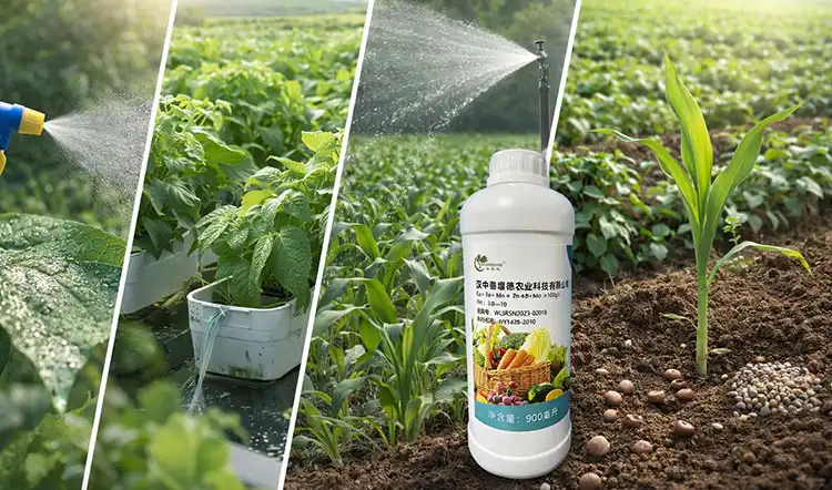 Application-Methods-and-Timing-Considerations Application-Methods-and-Timing-Considerations