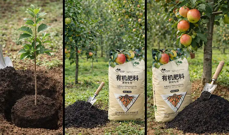 How-Often-Should-You-Apply-Organic-Fertilizer-to-Fruit-Trees How-Often-Should-You-Apply-Organic-Fertilizer-to-Fruit-Trees