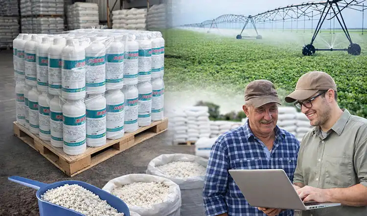 How-to-Procure-Affordable-Water-Soluble-Fertilizers-Efficiently How-to-Procure-Affordable-Water-Soluble-Fertilizers-Efficiently