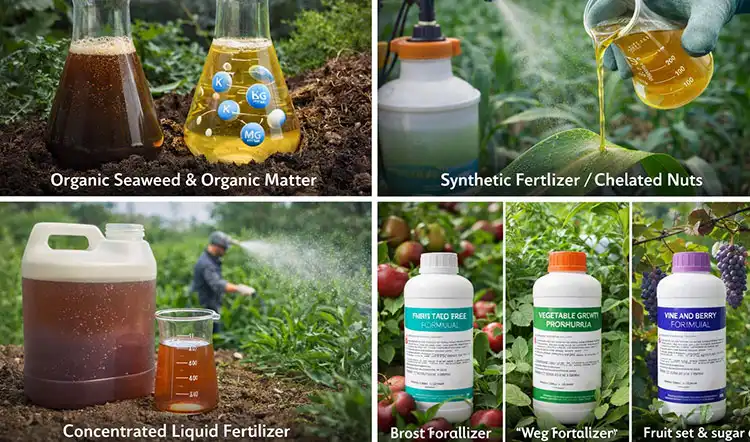 Types-and-Formulations-of-Leaf-Application-Fertilizers Types-and-Formulations-of-Leaf-Application-Fertilizers