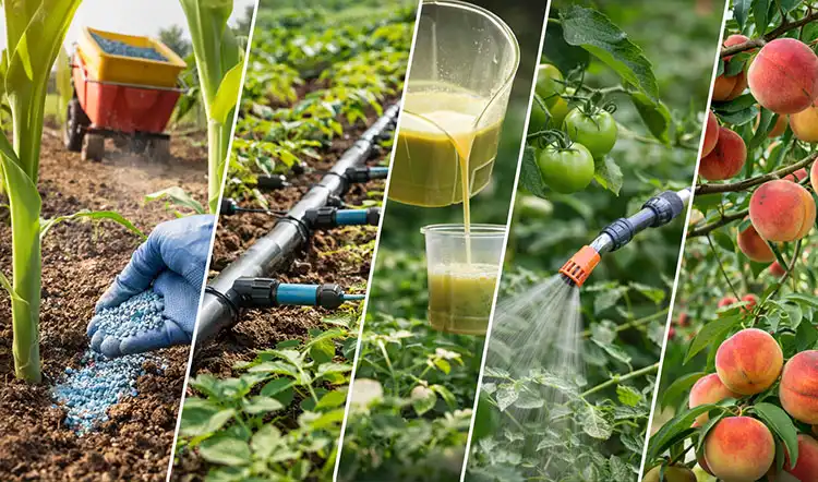 Application-Methods-and-Best-Practices-for-Maximizing-Fertilizer-Efficiency Application-Methods-and-Best-Practices-for-Maximizing-Fertilizer-Efficiency