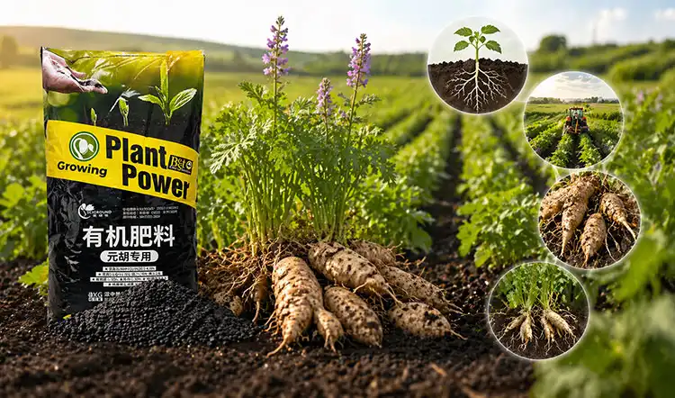 Key-Benefits-of-Cordydalis-Tuber-Organic-Fertilizer-for-Commercial-Agriculture Key-Benefits-of-Cordydalis-Tuber-Organic-Fertilizer-for-Commercial-Agriculture