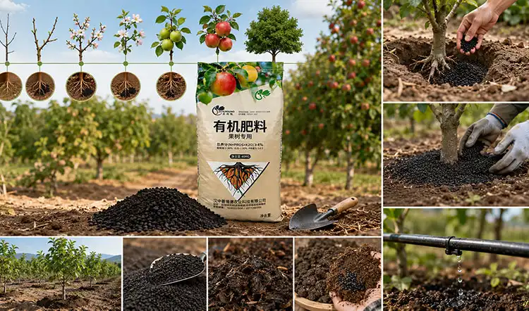 How-to-Use-Organic-Fertilizer-Effectively-for-Higher-Yield How-to-Use-Organic-Fertilizer-Effectively-for-Higher-Yield