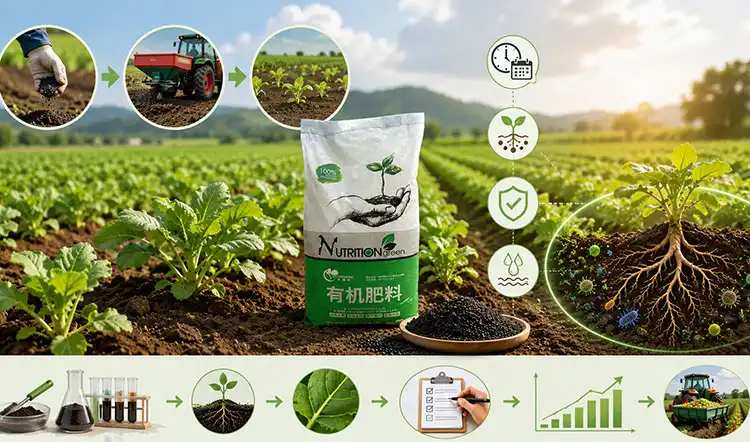 How-to-Implement-Eco-Friendly-Fertilizers-for-Optimal-Results How-to-Implement-Eco-Friendly-Fertilizers-for-Optimal-Results