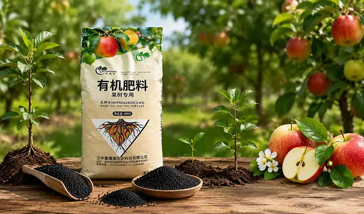 How-to-Select-the-Best-Organic-Fertiliser-for-Fruit-Trees How-to-Select-the-Best-Organic-Fertiliser-for-Fruit-Trees