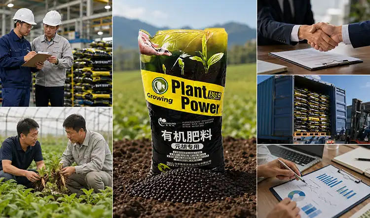 How-to-Procure-Cordydalis-Tuber-Organic-Fertilizer-for-B2B-Needs How-to-Procure-Cordydalis-Tuber-Organic-Fertilizer-for-B2B-Needs