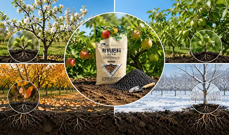 Best-Times-to-Apply-Fruit-Tree-Fertilizer-Throughout-the-Year Best-Times-to-Apply-Fruit-Tree-Fertilizer-Throughout-the-Year