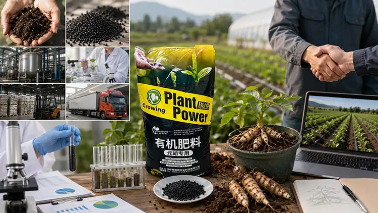 Evaluating-and-Selecting-the-Best-Fertilizer-Suppliers-for-Cordydalis-Tuber Evaluating-and-Selecting-the-Best-Fertilizer-Suppliers-for-Cordydalis-Tuber