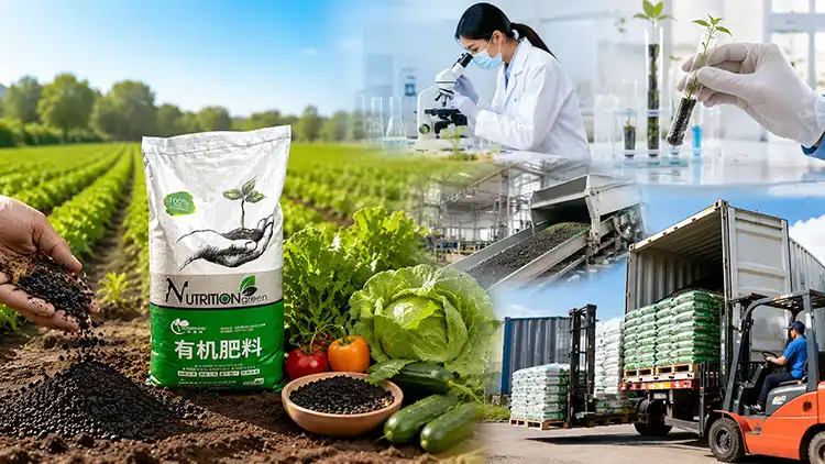 Key-Benefits-of-Collaborating-with-a-Leading-Organic-Fertilizer-Supplier Key-Benefits-of-Collaborating-with-a-Leading-Organic-Fertilizer-Supplier