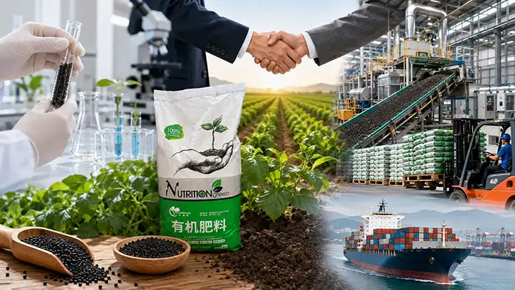 How-to-Choose-the-Right-Organic-Fertilizer-Supplier-for-Your-Business How-to-Choose-the-Right-Organic-Fertilizer-Supplier-for-Your-Business