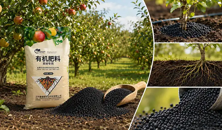 Comparing-Fertilizer-Types-Making-an-Informed-Choice Comparing-Fertilizer-Types-Making-an-Informed-Choice