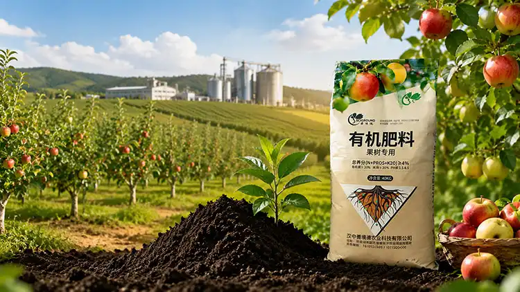 Core-Criteria-for-Selecting-a-Trusted-Fruit-Tree-Organic-Fertilizer-Manufacturer Core-Criteria-for-Selecting-a-Trusted-Fruit-Tree-Organic-Fertilizer-Manufacturer
