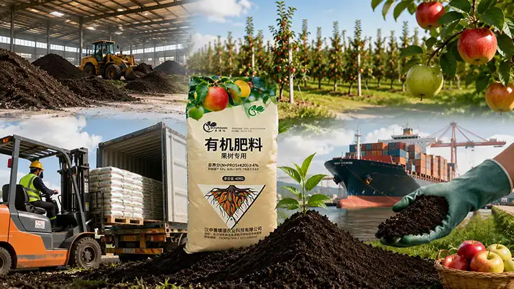 Common-Challenges-in-Procuring-Fruit-Tree-Organic-Fertilizer-and-How-a-Trusted-Manufacturer-Addresses-Them Common-Challenges-in-Procuring-Fruit-Tree-Organic-Fertilizer-and-How-a-Trusted-Manufacturer-Addresses-Them