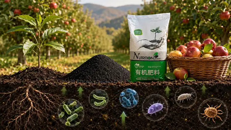 Environmental-and-Economic-Impact-of-Choosing-Organic-Fertilizer-Suppliers Environmental-and-Economic-Impact-of-Choosing-Organic-Fertilizer-Suppliers