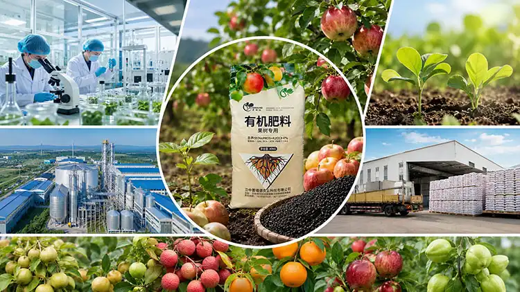 Key-Factors-in-Choosing-a-Fruit-Tree-Organic-Fertilizer-Manufacturer Key-Factors-in-Choosing-a-Fruit-Tree-Organic-Fertilizer-Manufacturer
