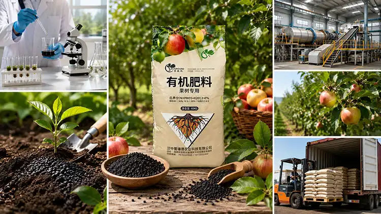 Key-Criteria-for-Sourcing-Quality-Organic-Fertiliser-in-Bulk Key-Criteria-for-Sourcing-Quality-Organic-Fertiliser-in-Bulk