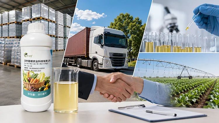 Procurement-Considerations-for-B2B-Buyers-of-Micronutrients-Water-soluble-Fertilisers Procurement-Considerations-for-B2B-Buyers-of-Micronutrients-Water-soluble-Fertilisers