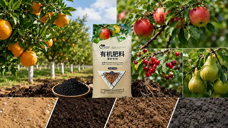 Choosing-the-Right-Fertiliser-for-Different-Fruit-Tree-Types-and-Soil-Conditions Choosing-the-Right-Fertiliser-for-Different-Fruit-Tree-Types-and-Soil-Conditions