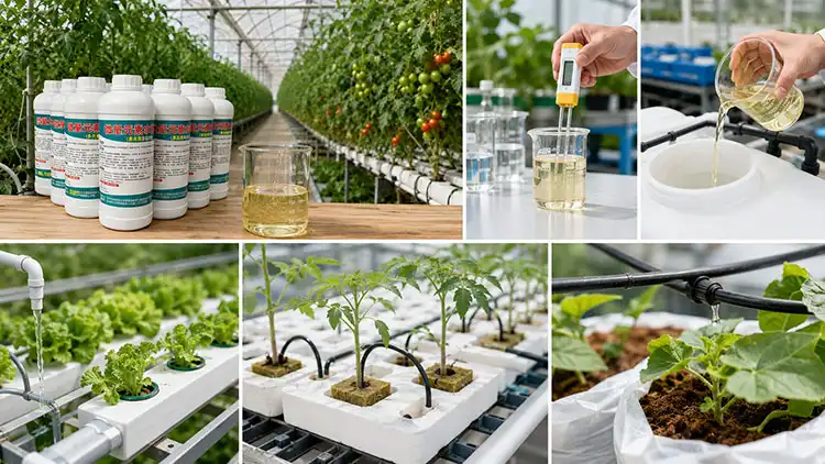 Key-Considerations-When-Using-Balanced-Liquid-Fertilizer-in-Greenhouses Key-Considerations-When-Using-Balanced-Liquid-Fertilizer-in-Greenhouses